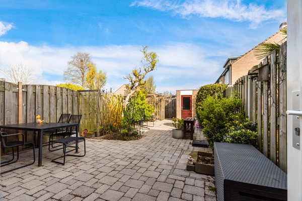 Albert Schweitzererf 6_21.jpg